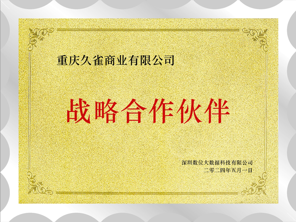深圳数位大数据战略合作伙伴